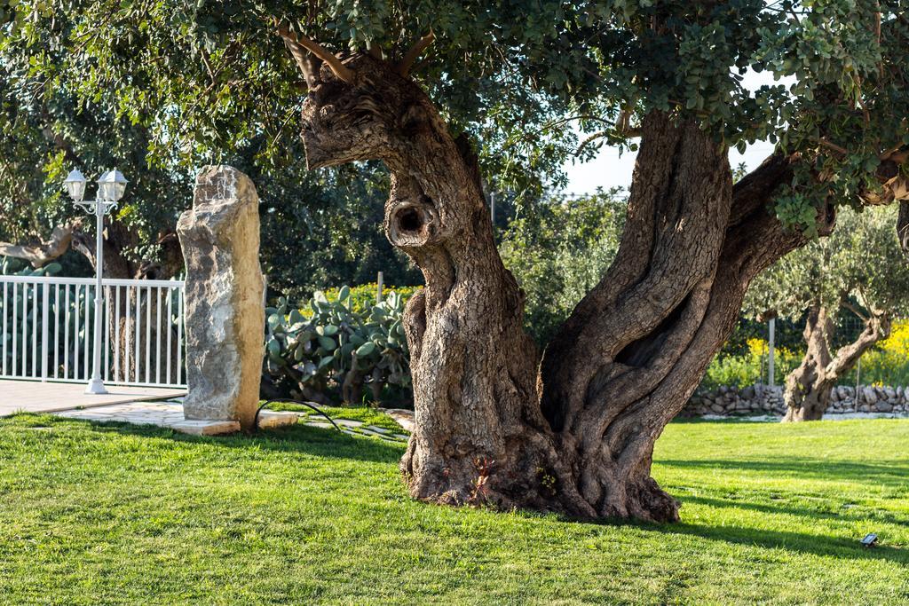 Апартаменты Il Giardino Dei Frangipani Санта-Кроче- Камерина Экстерьер фото